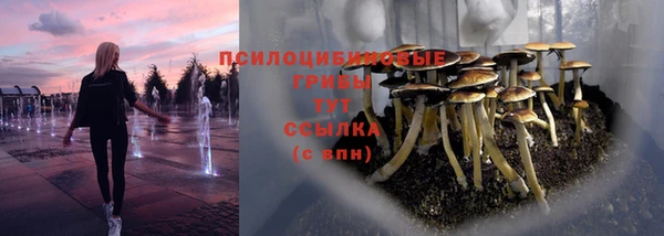 спиды Володарск