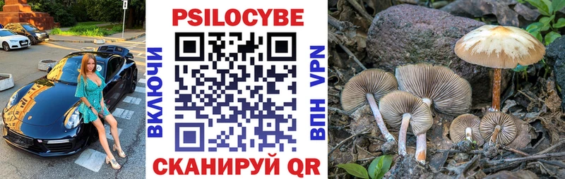 Псилоцибиновые грибы GOLDEN TEACHER  Мариинск 